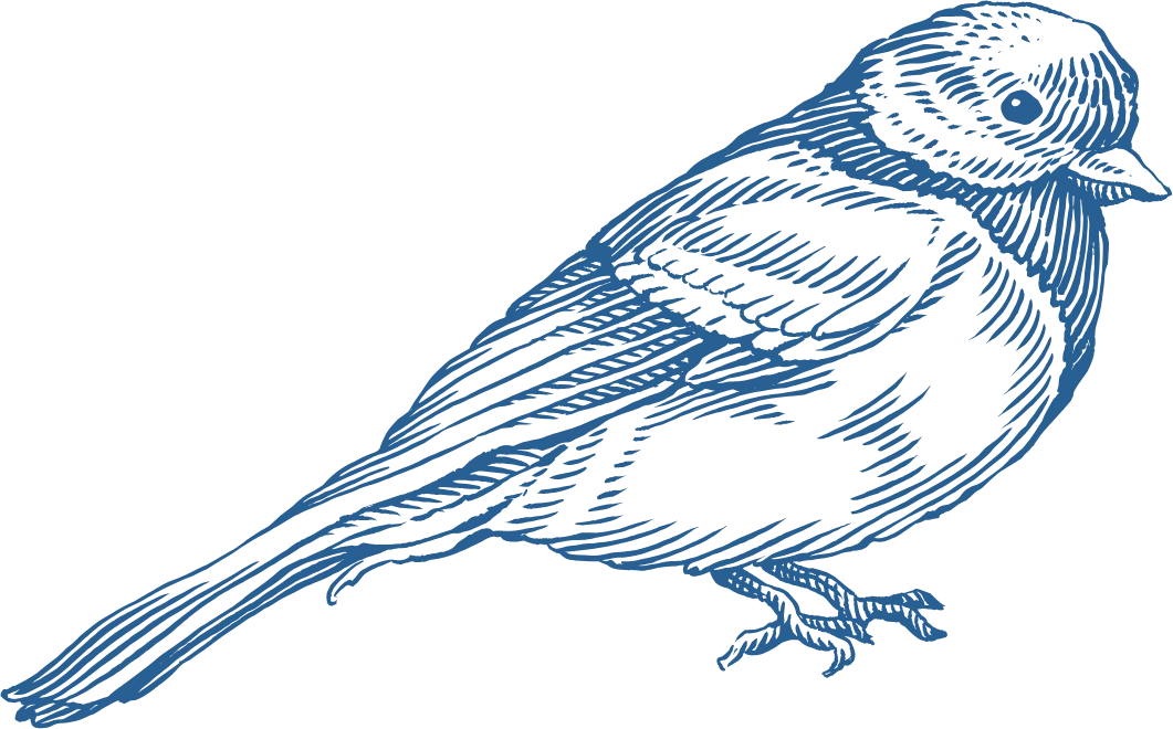 bird perched