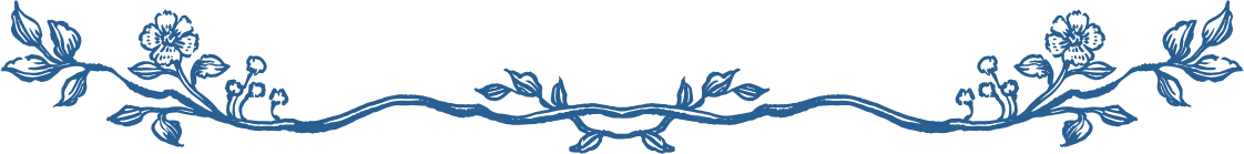 divider vine