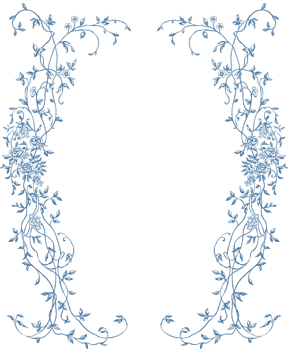 frame vine